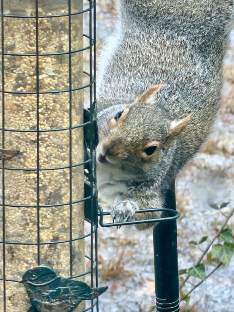 Image for the Tweet beginning: Thanks for filling up the