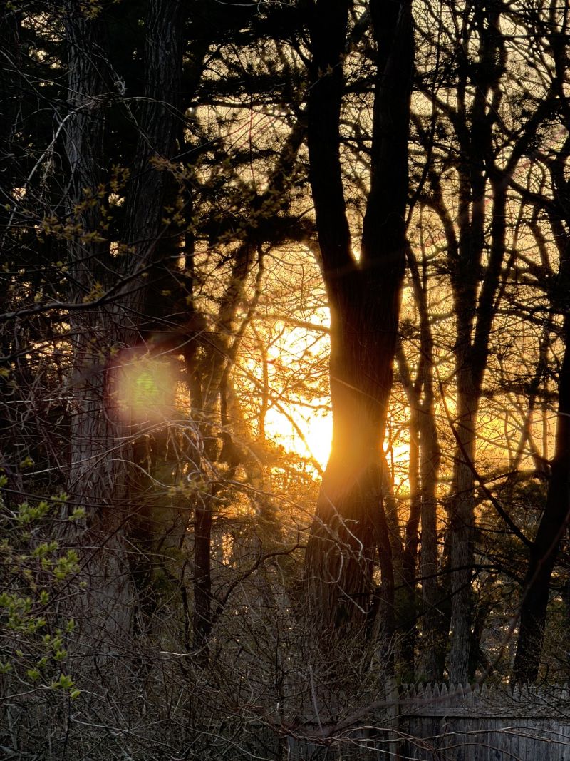 Image for the Tweet beginning: Nite nite! #boston 