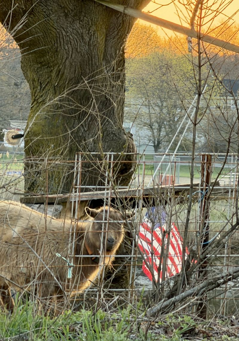 Image for the Tweet beginning: And good morning to you