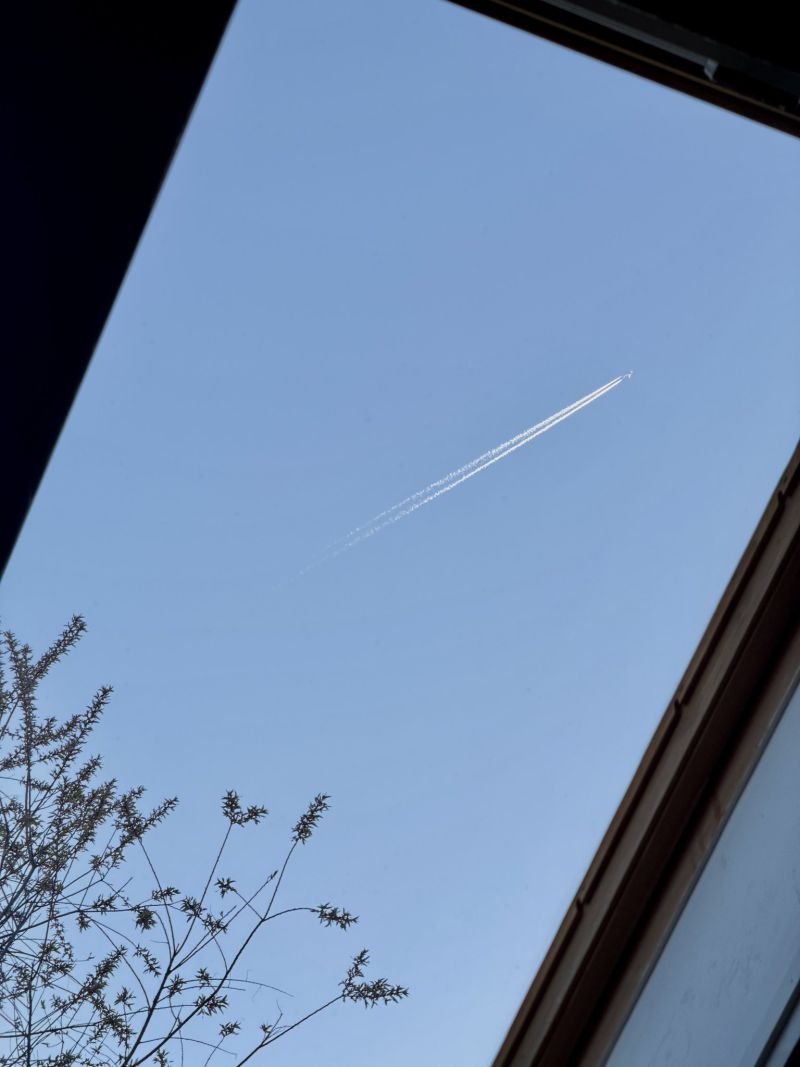 Image for the Tweet beginning: Flying high. #boston 