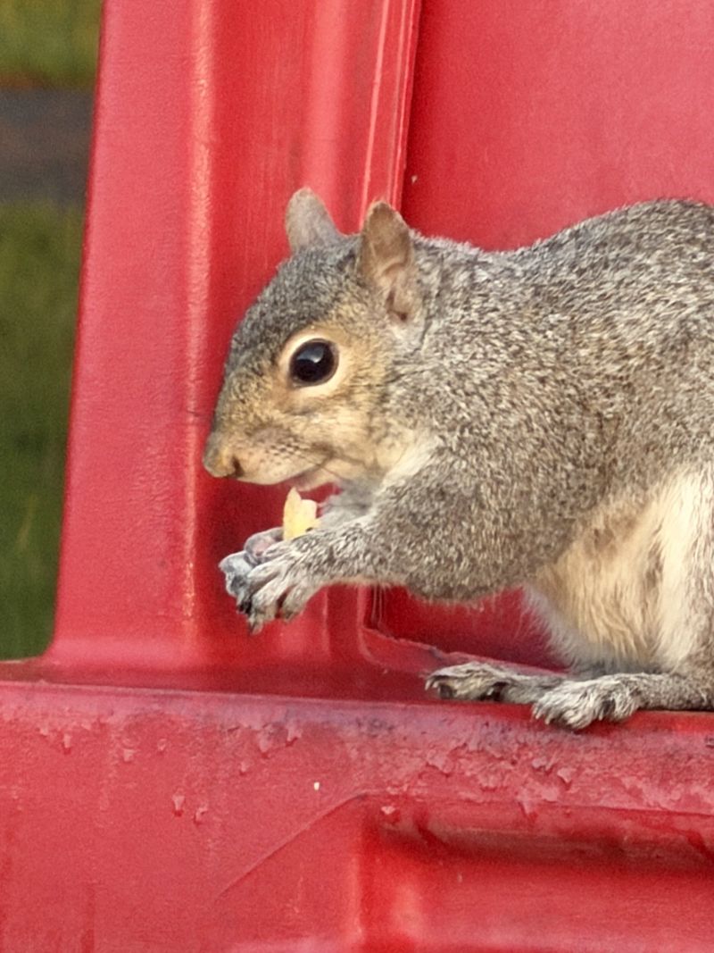 Image for the Tweet beginning: A Happy breakfast. #boston 