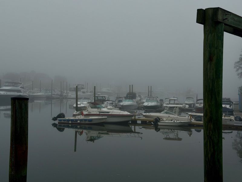 Image for the Tweet beginning: Foggy good morning from Portside