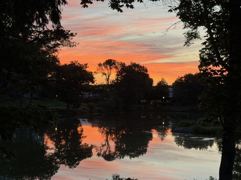 Image for the Tweet beginning: A Shoe Pond Beverly good