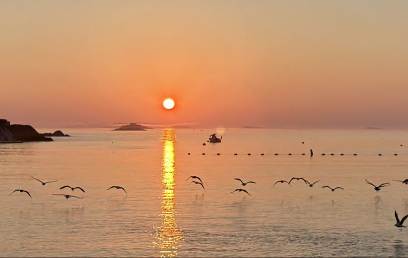 Image for the Tweet beginning: Good morning from Marblehead. #boston