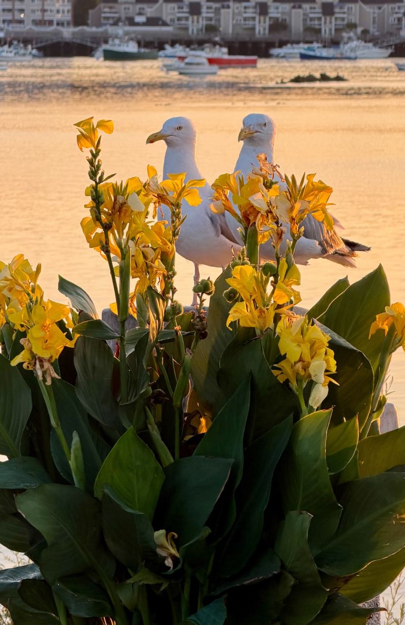 Image for the Tweet beginning: Yesterday while shooting the sunrise