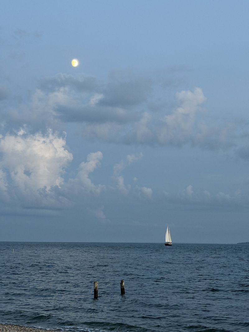 Image for the Tweet beginning: Waxing Gibbous Moon over Vineyard