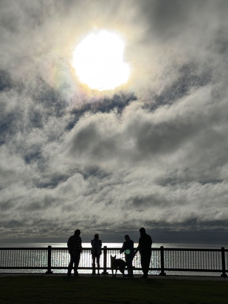 Image for the Tweet beginning: Sun’s out, Lynn Shore Drive.