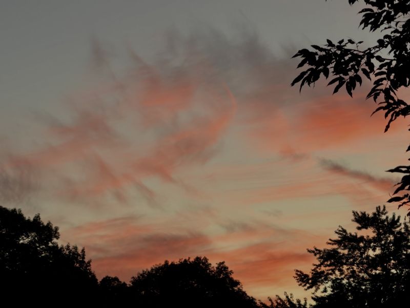 Image for the Tweet beginning: Nite nite. #boston 