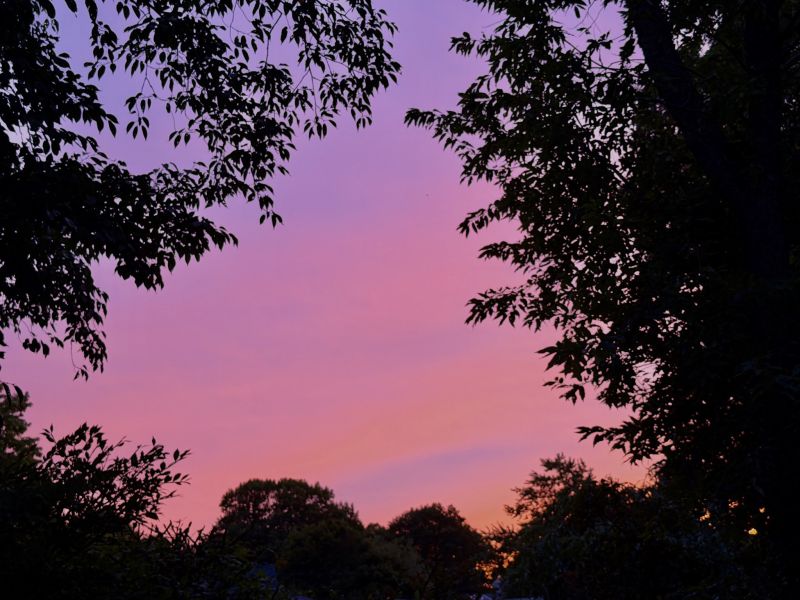 Image for the Tweet beginning: Nite nite, calm before the