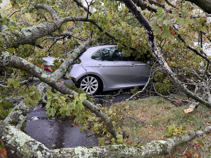 Image for the Tweet beginning: Storm damage, no injuries on